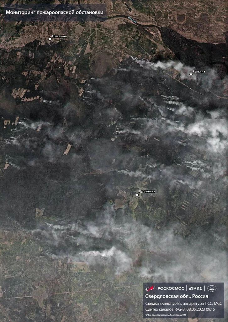 В России из-за лесных пожаров погибли 19 человек