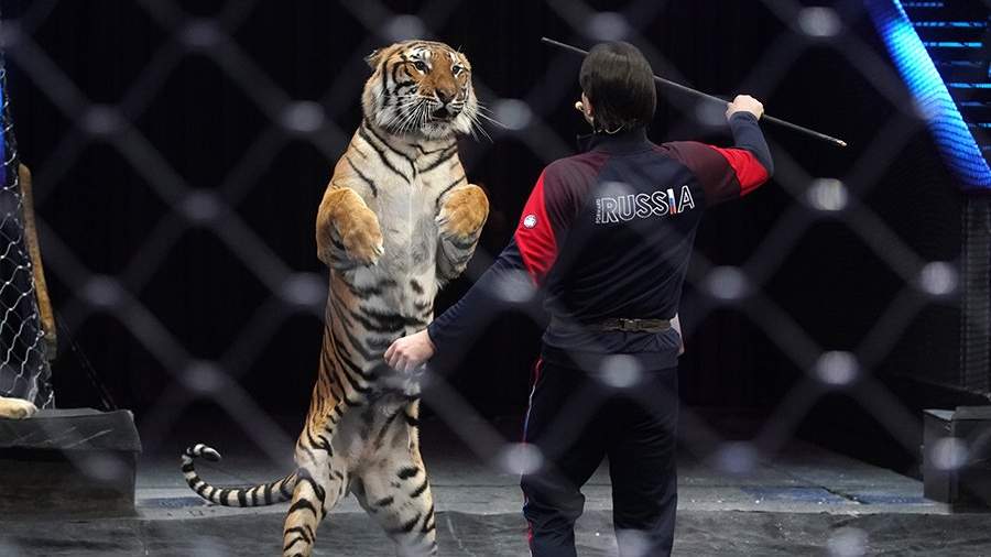 В России могут запретить животных в цирках