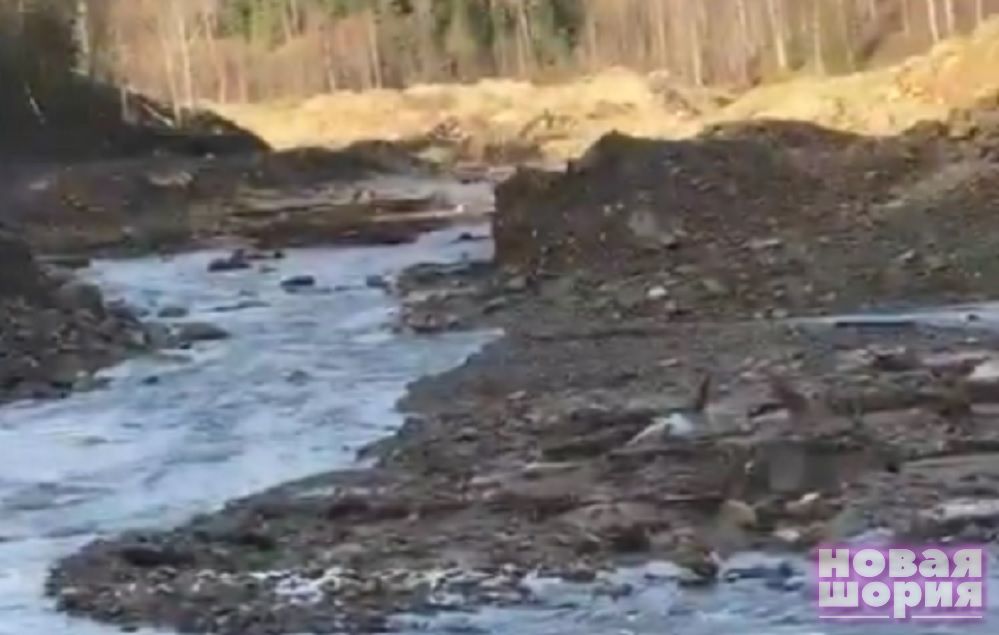 Экоактивисты: китайские золотодобытчики уничтожили шорскую речку