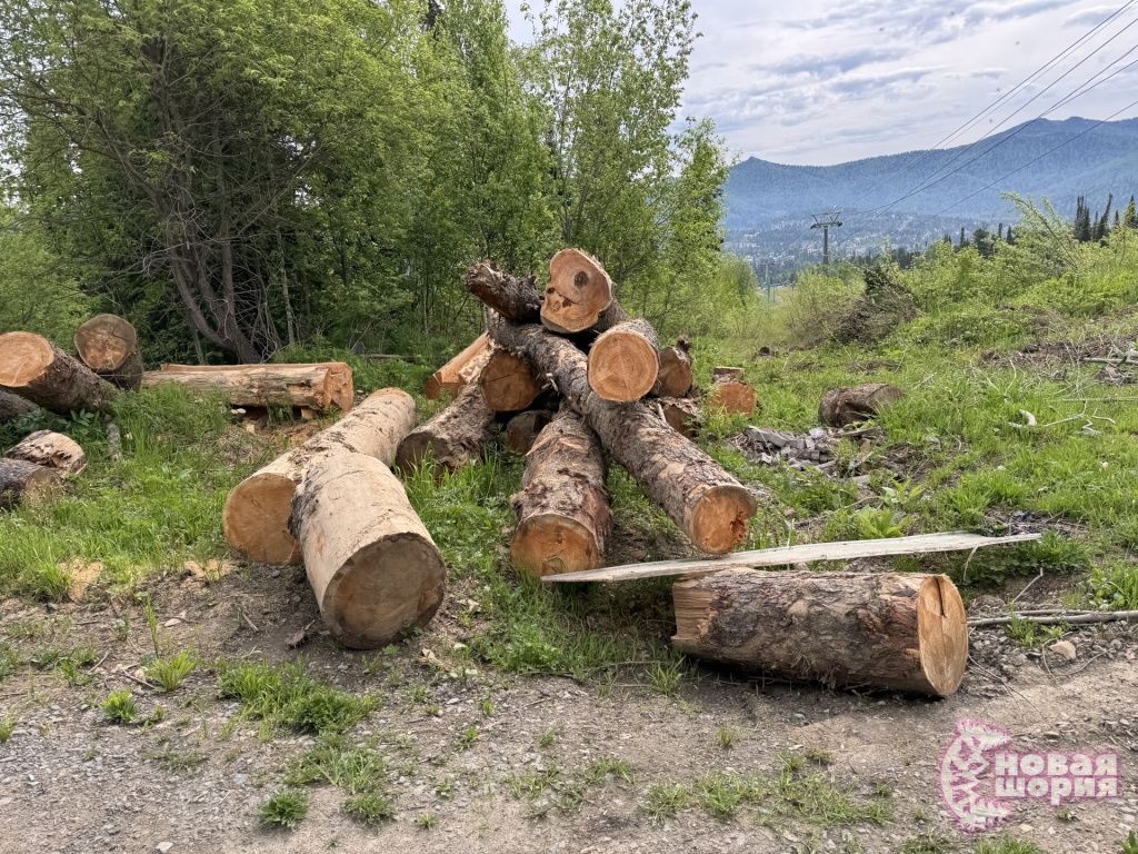 В Шерегеше рубят лес и меняют рынок туризма одни и те же структуры